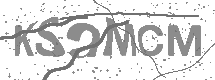 visual captcha